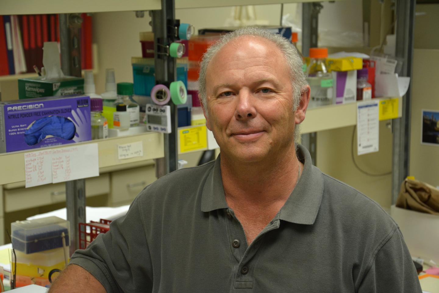 Michael Skinner, Washington State University