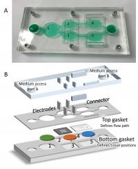 Hesperos' Body-On-A-Chip System Is Compact and Reconfigurable; Can Contain up to Five Tissues in the