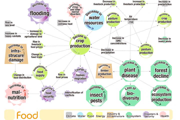 Map Of Climate Risk Interconnections Related To The Food Sector