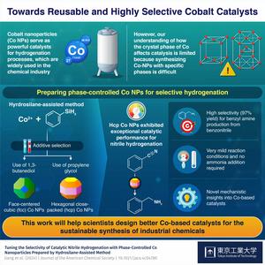 Towards Reusable and Highly Selective Cobalt Catalysts