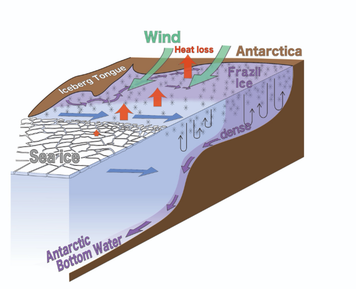 Frazil ice formation around the coast of Cape Darnley