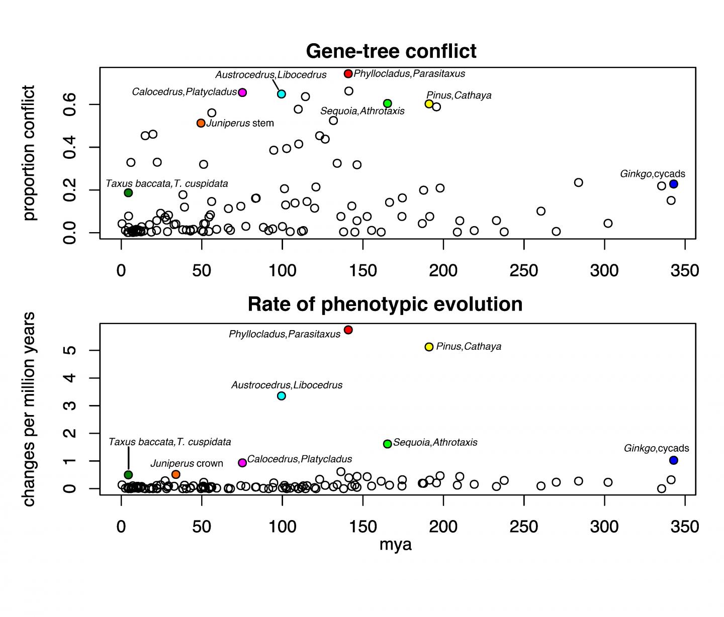 Plots showing coinciding spikes of gene-tree conflict and rates of phenotypic evolution of gymnosperms