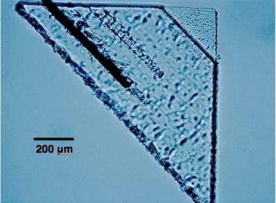 Micrograph of Sorok Picokeystone