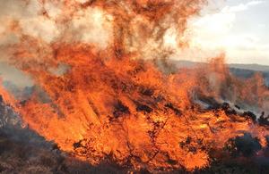 Fire on UK moorland