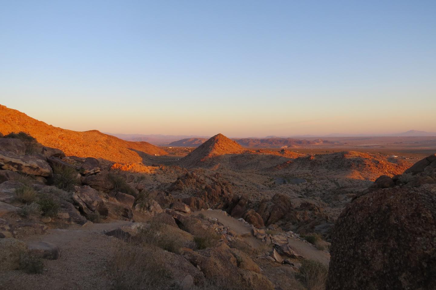 Joshua Tree National Park