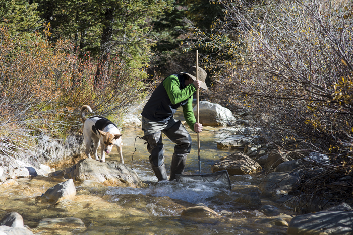 Rare Earth Elements and Old Mines Spell Trouble for Western Water Supplies