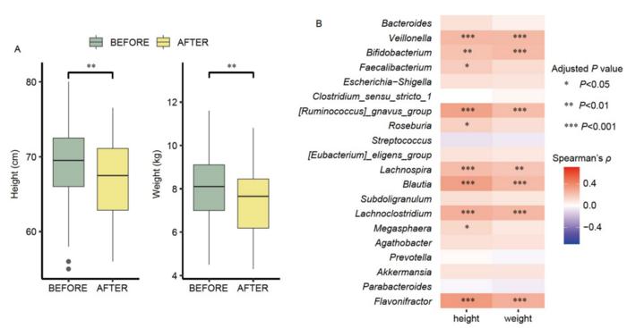Distribution of body height and weight in the infants of the two cohorts and the correlations between height/weight and microbial taxa.