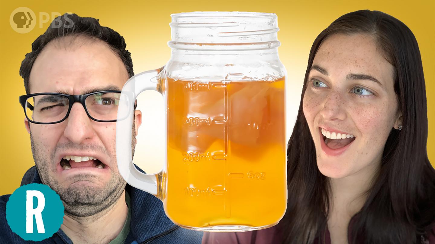 Will it kombucha? (video)