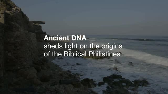 Ancient DNA Sheds Light on the Origins of the Biblical Philistines