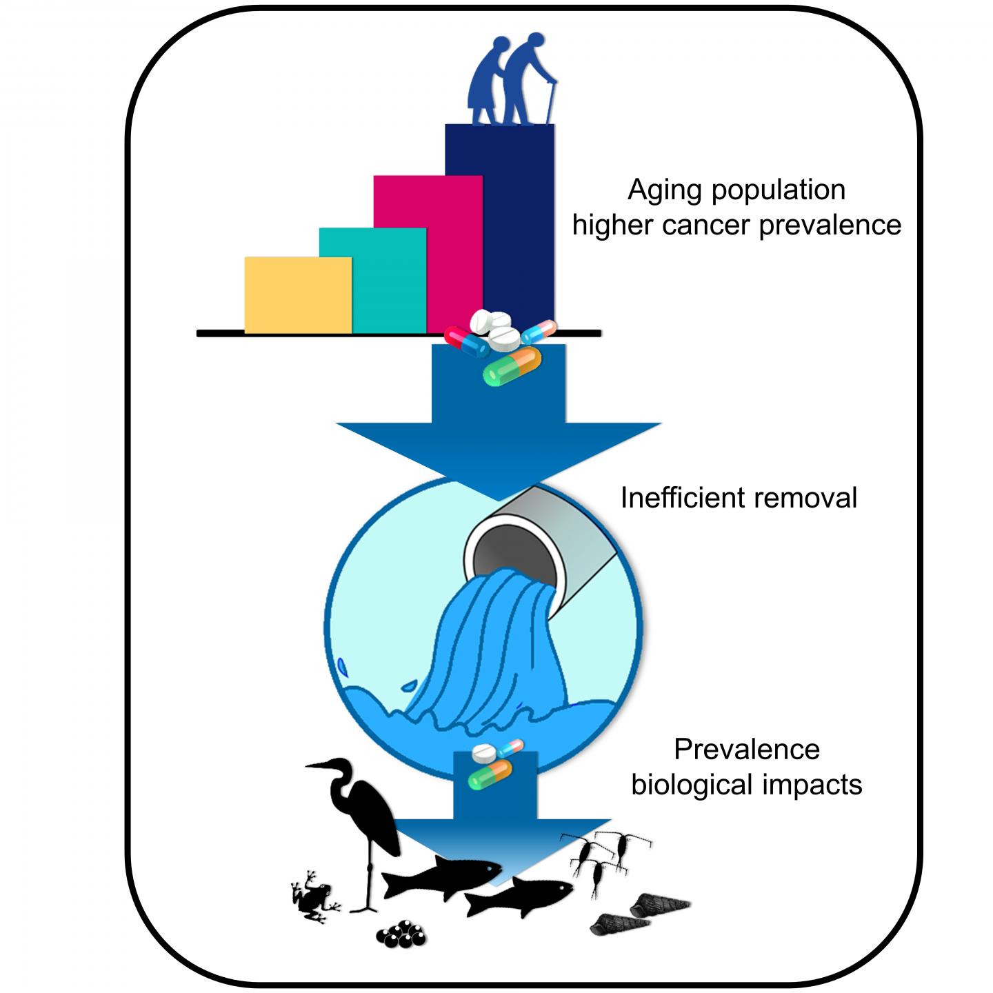 What Are the Environmental Impacts of Cancer Drugs?