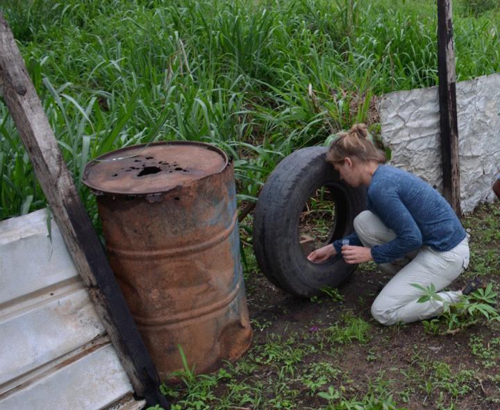 Laura Dickson during a Field Mission in Gabon