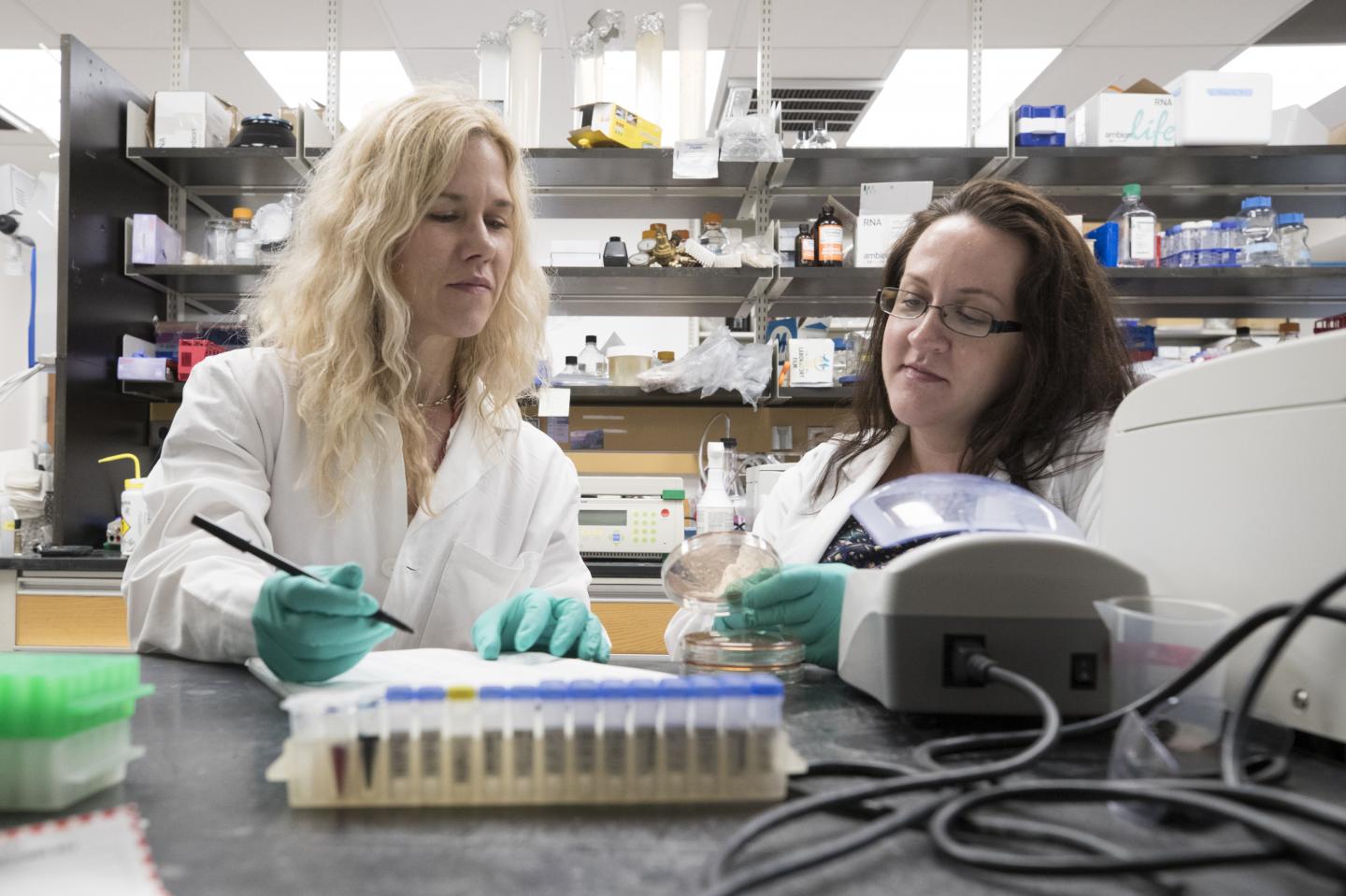   Here's How <em>E. Coli</em> Knows How to Make You Really Sick