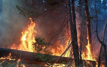 USGS Drought Wildfire Forests