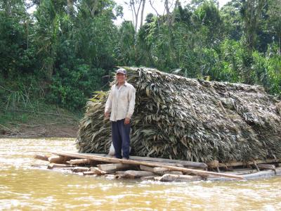 Palm Thatch Roof Panels