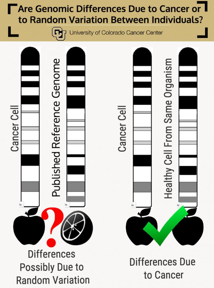 For Next-Gen Sequencing, Which Reference Genome is Best?