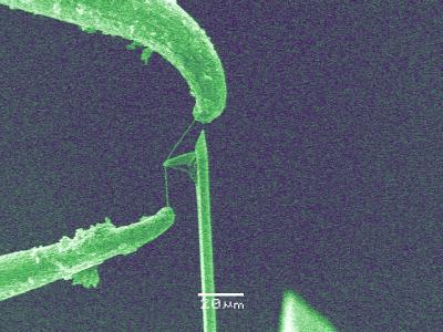 On the Cutting Edge: Carbon Nanotube Cutlery