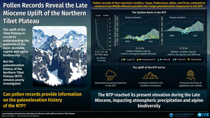 Pollen records reveal the Late Miocene uplift of the Northern Tibet Plateau