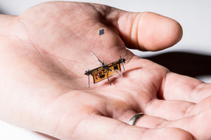 Robotic insect