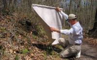 Photo of Scientist Graham Hickling, University of Tennessee, Checking on a Drag-Cloth for Ticks