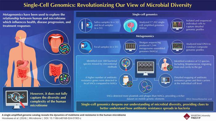 Exploring the relationship between humans and microbes using new single-cell genome technique