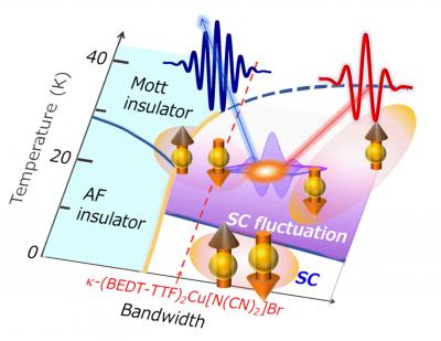 Phase Diagram and SHG
