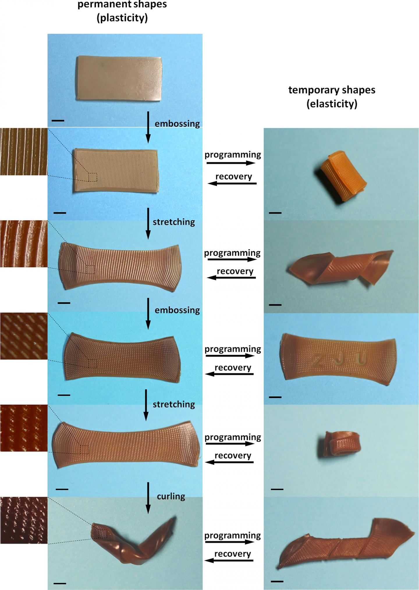 It's a Bird, it's a Boat: New Polymer Shapeshifts Into Complex Origami Shapes (1 of 7)