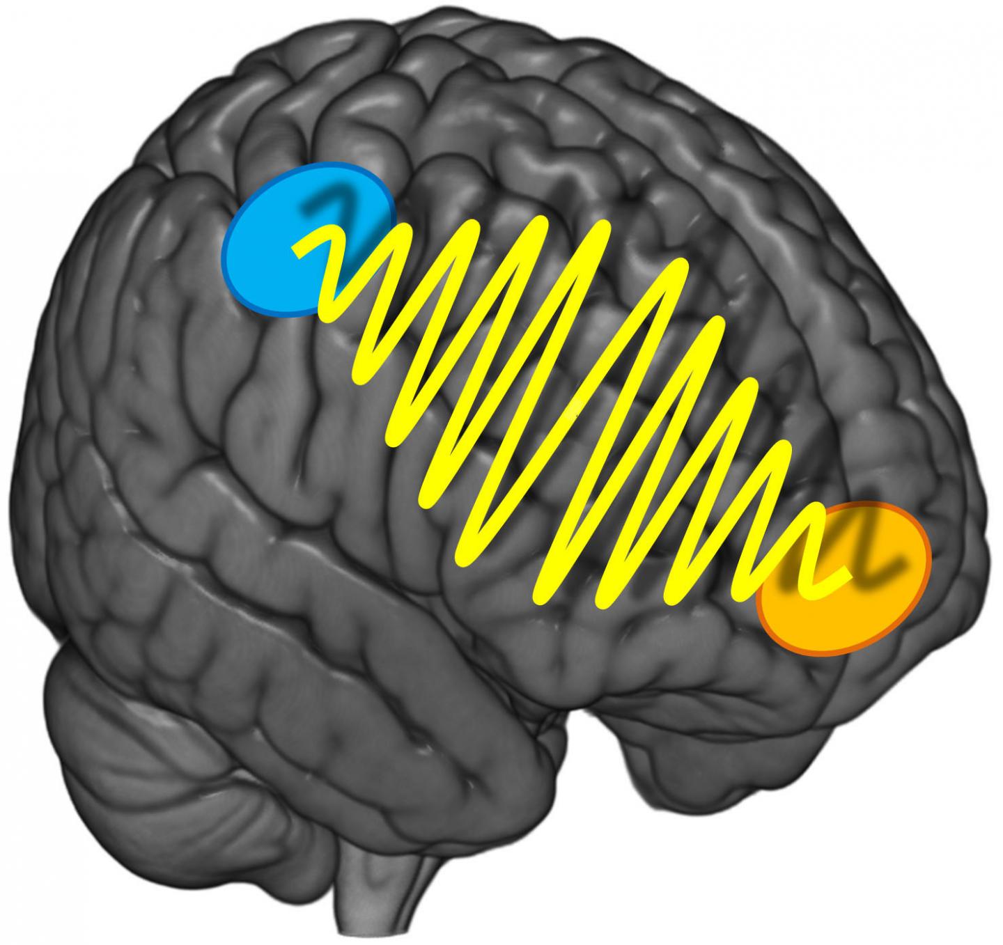 Information Flow between 2 Brain Regions