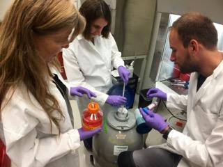 Hannele Ruohola-Baker, Julie Mathieu and Henrik Sperber, University of Washington (2 of 2)