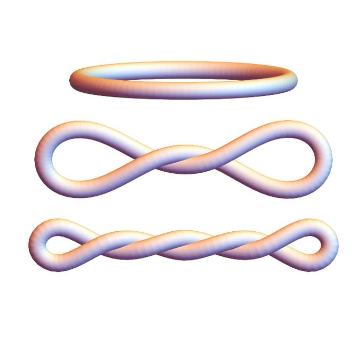 Self-touching shapes of DNA minicircles as predicted by the model.