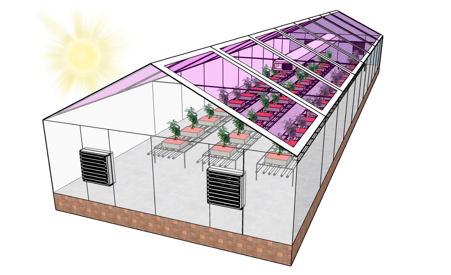 Powering Greenhouses With See-Through Solar Panels