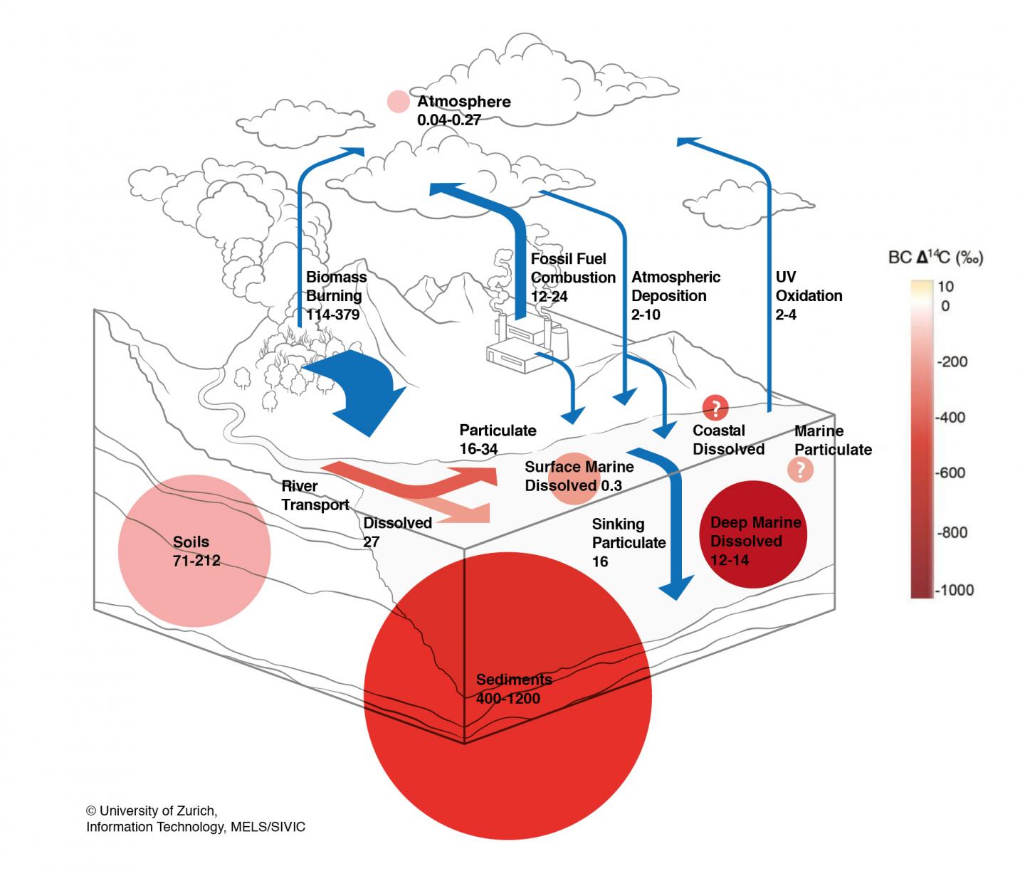 Global Black Carbon Cycle in Large Reservoirs