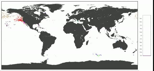 Marine Animals Explore the Ocean in Similar Ways