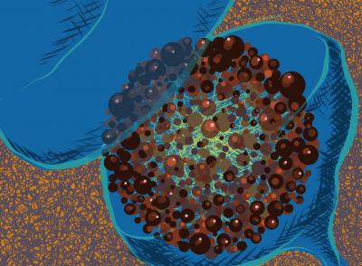 Protein Interactions