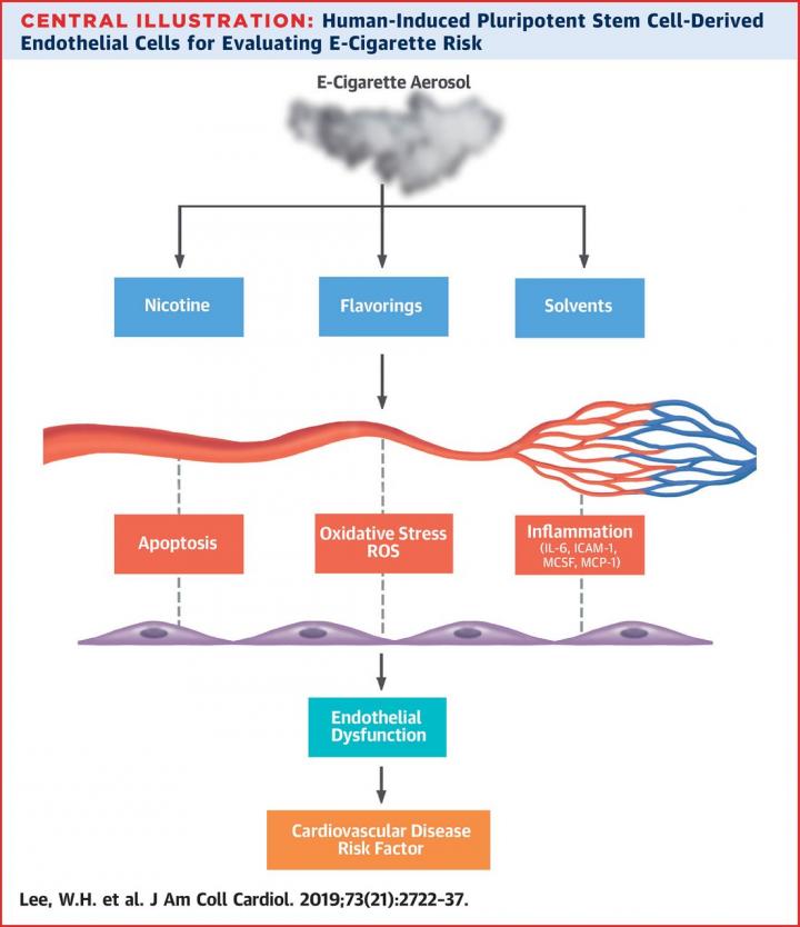 Central Illustration: Human-Induced Pluripotent Stem Cell-Derived Endothelial Cells for Evaluating E-Cigarette Risk