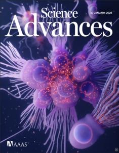 Science Advances Cover Volume 11, issue 2 features artwork representing calcium signalling in a rosette colony of the choanoflagellate S. rosetta.