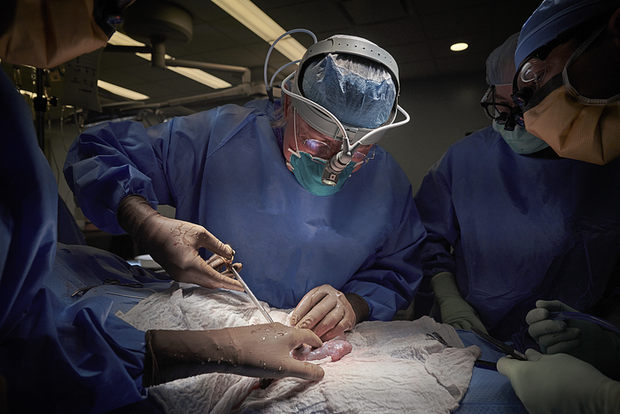 Dr. Robert Montgomery Performs Xenotransplant