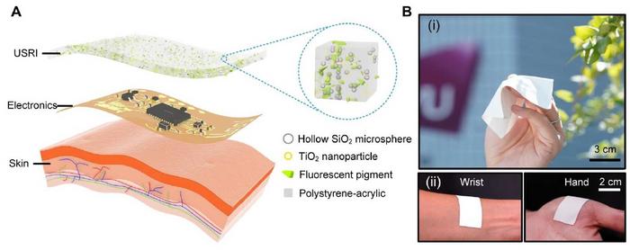 Schematic illustrations