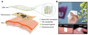 Schematic illustrations