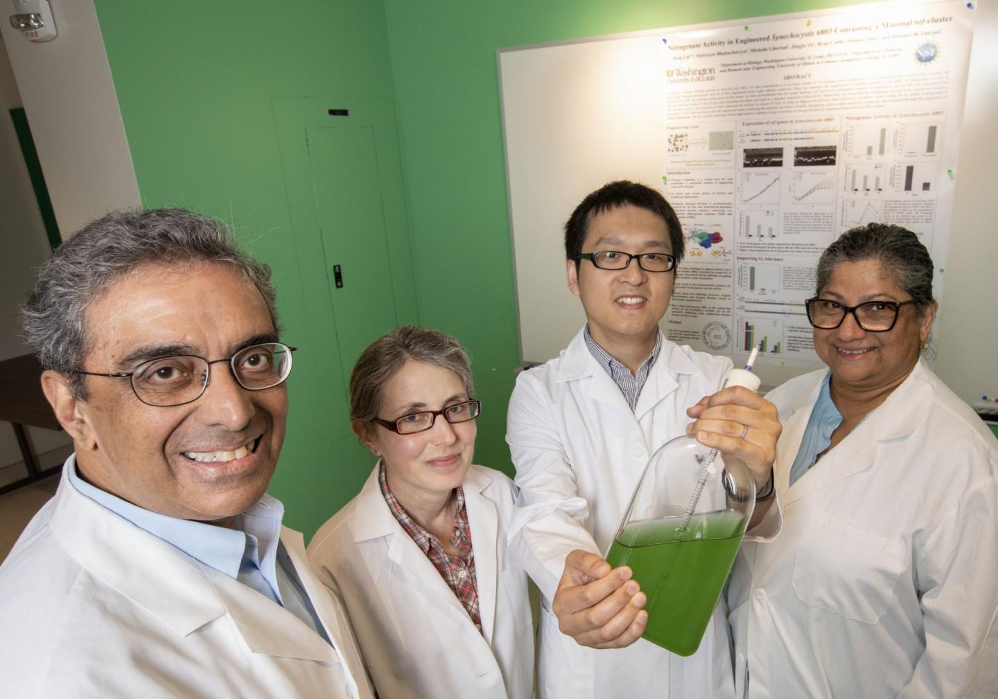 Researchers Engineer Bacteria that Create Fertilizer out of Thin Air