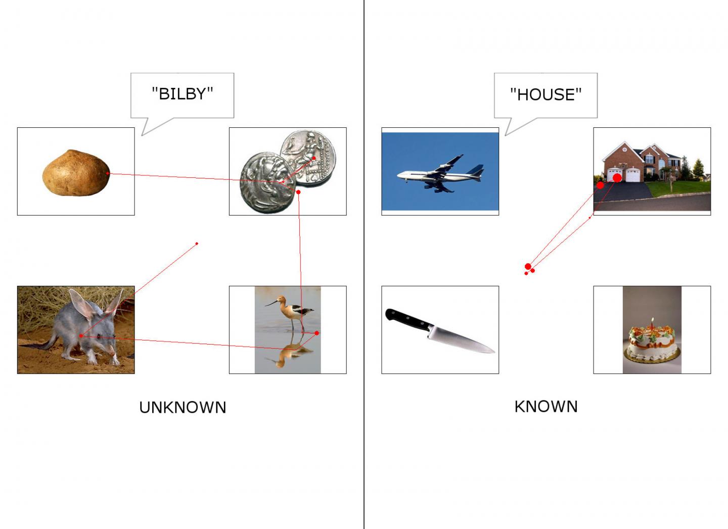 Using Eye-Tracking in a Language Assessment