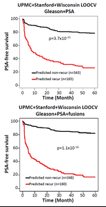 New machine learning model improves prediction of prostate cancer recurrence