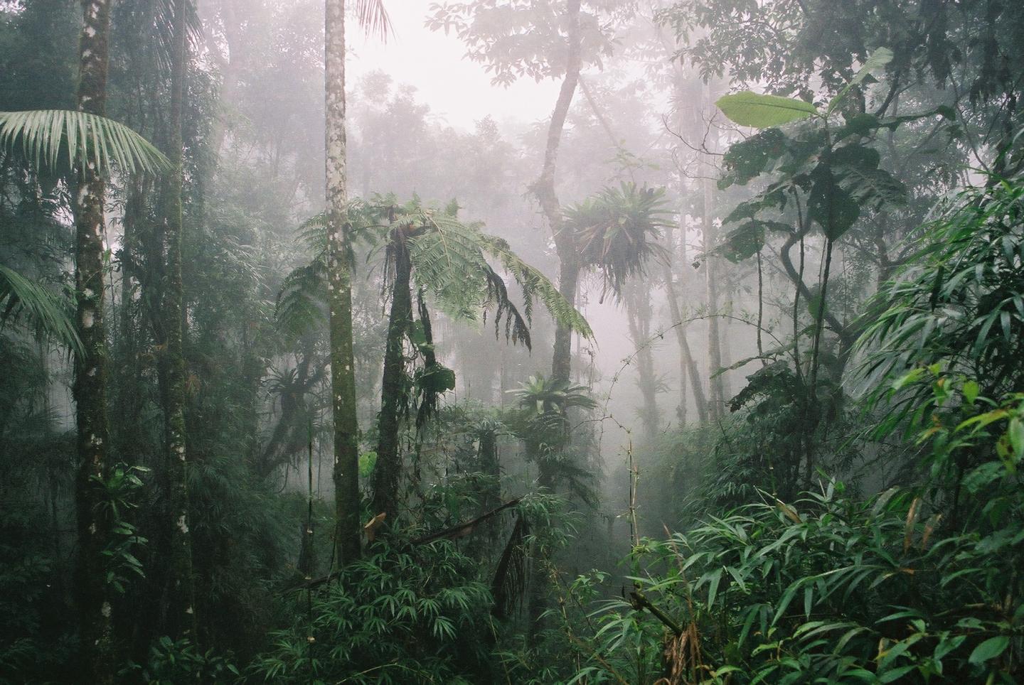 Itai National Park - Brazil