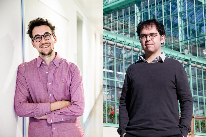 Involved researchers