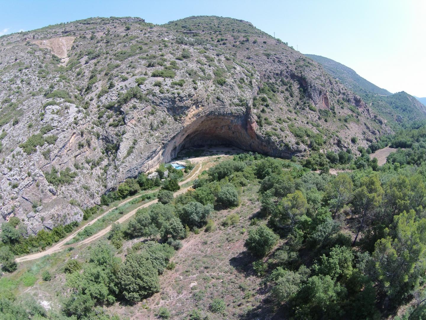 Montane Pine Forests Reached the Northeastern Coast of the Iberian Peninsula 50,000 Years Ago
