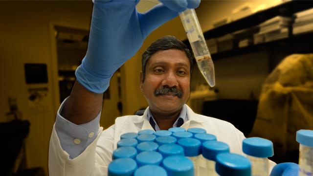 Ganesan Ramesh, Medical College of Georgia at Georgia Regents University