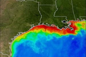 Satellite image illustrating the extent of the oxygen-depleted dead zone in the Gulf of Mexico