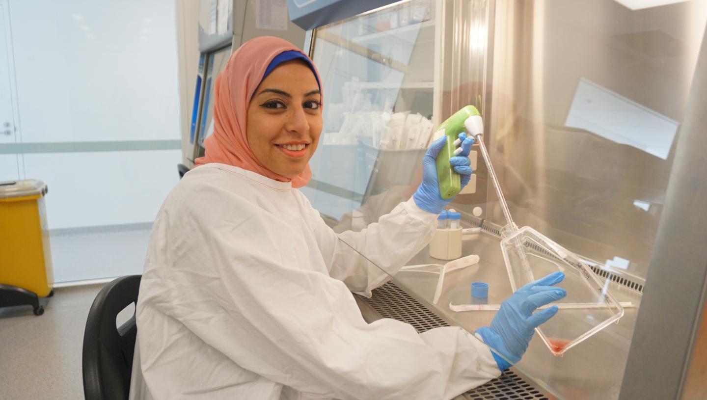 Dr. Rasha El Sharkawy, Westmead Institute for Medical Research