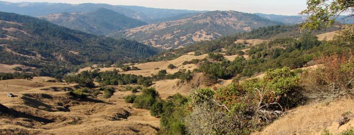 Landslide Area in California's Eel River Basin