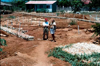 Excavating La Isabela