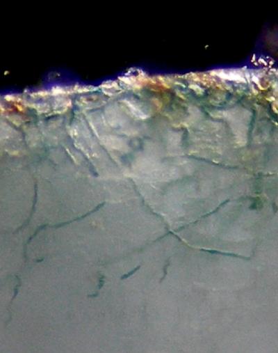 Cyanobacteria Infiltrate Crystalline Chip